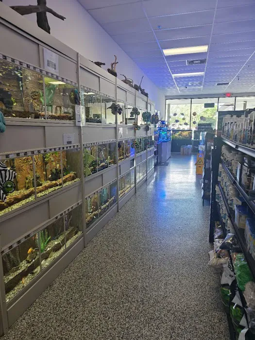 Aquarium Show Picture 5
