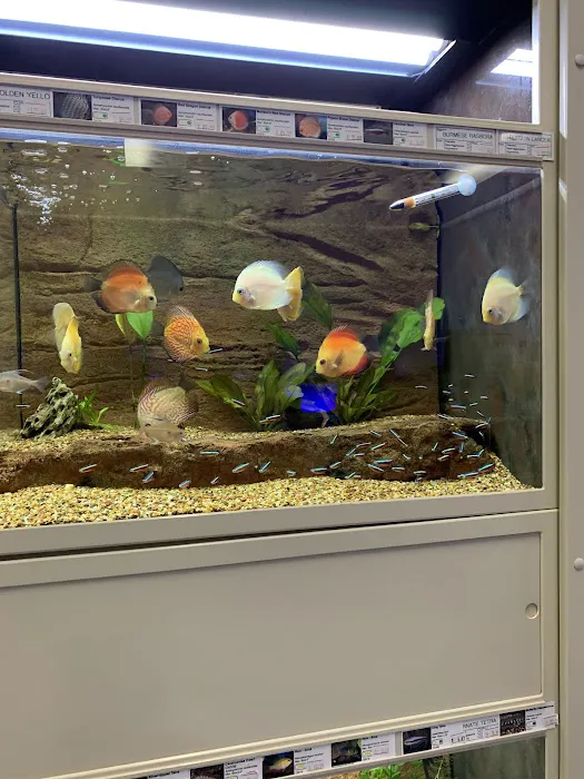 Aquarium Show Picture 9
