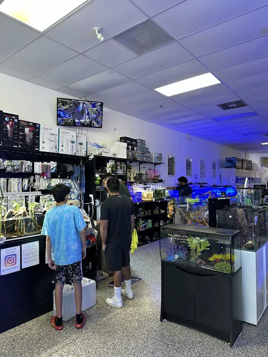 Aquarium Show Picture 10