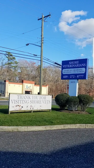 Shore Veterinarians Picture 1