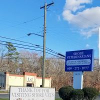 Shore Veterinarians ico