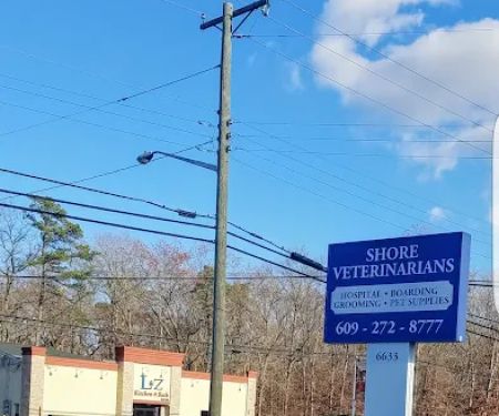 Shore Veterinarians