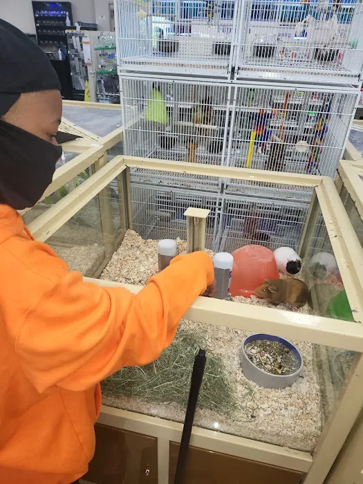Pet Supermarket Picture 2