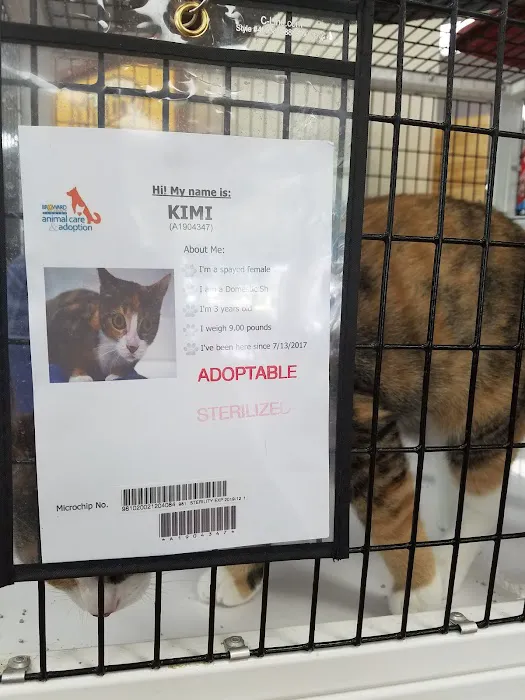 Pet Supermarket Picture 3