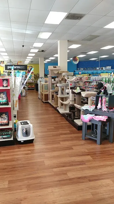 Pet Supermarket Picture 5