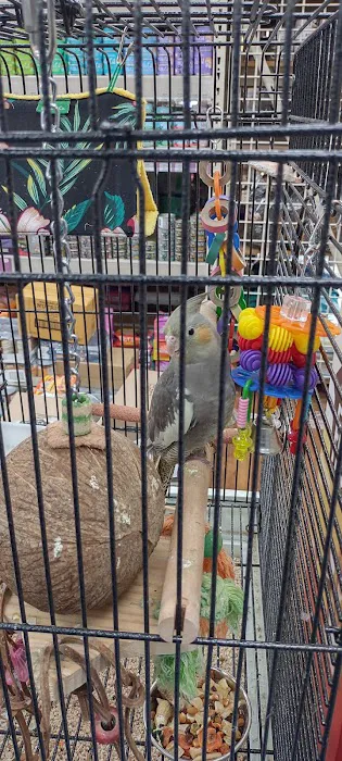 Pet Supermarket Picture 8