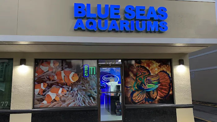Blue Seas Aquariums Picture 3