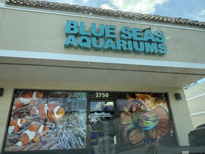 Blue Seas Aquariums Picture 7