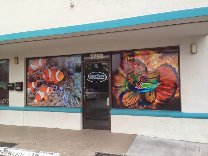 Blue Seas Aquariums Picture 10