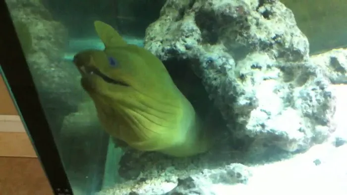 Aquarium Creations Picture 1