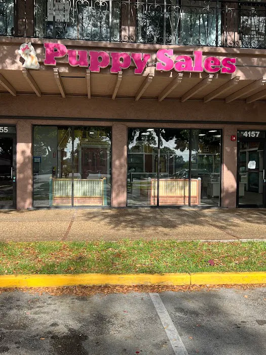 Forever Love Puppies Ft. Lauderdale Picture 1