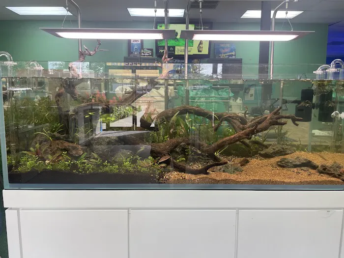 Nature Aquariums Picture 2