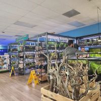 Nature Aquariums ico