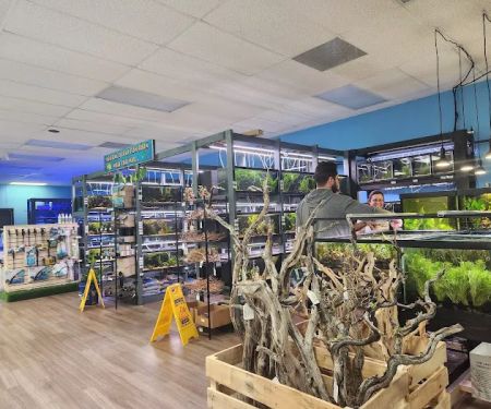 Nature Aquariums