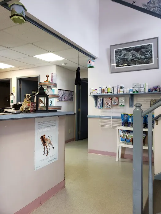 Northfield Animal Hospital Picture 4