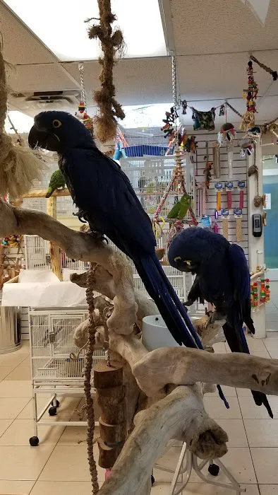 For the Birds Picture 3