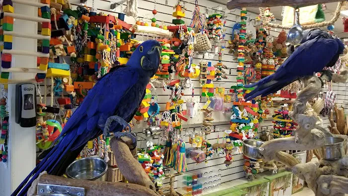 For the Birds Picture 4
