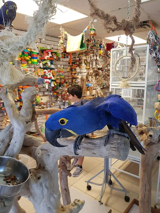 For the Birds Picture 8