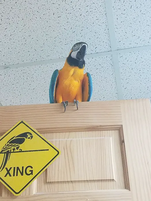 For the Birds Picture 6