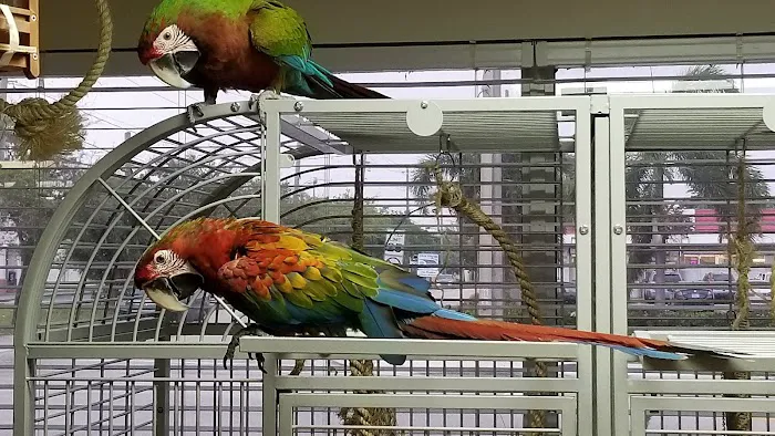 For the Birds Picture 5