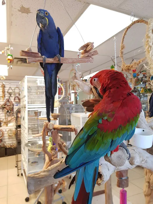 For the Birds Picture 10