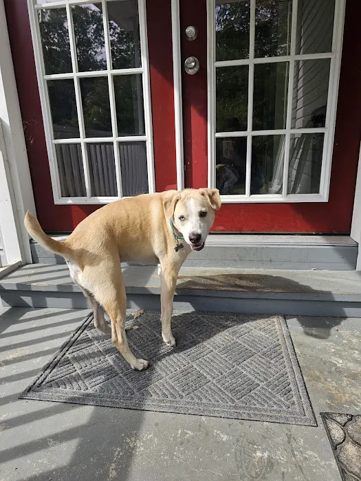 Mays Landing Veterinary Hospital, LLC Picture 5