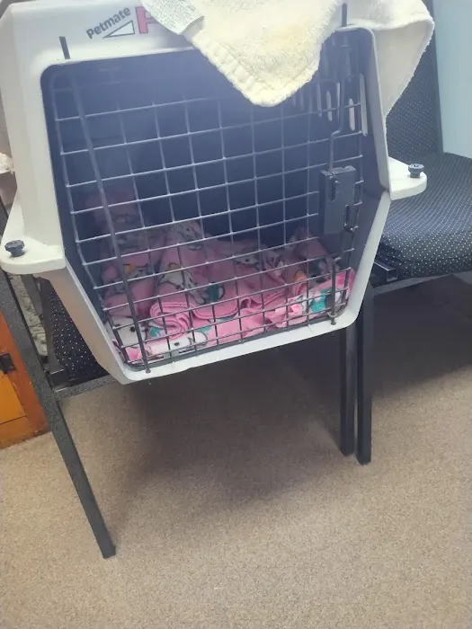 Mays Landing Veterinary Hospital, LLC Picture 8