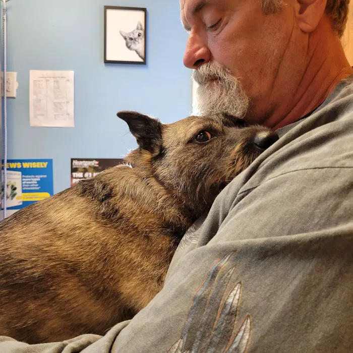 Mays Landing Veterinary Hospital, LLC Picture 9