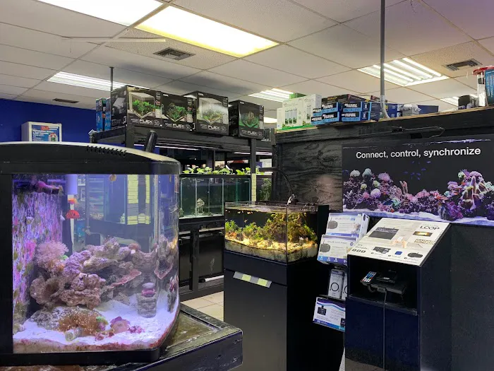 Aquarium Kingdom III | Saltwater & Freshwater Fish, Corals & Aquarium Supplies in Oakland Park Picture 3