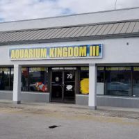 Aquarium Kingdom III | Saltwater & Freshwater Fish, Corals & Aquarium Supplies in Oakland Park ico