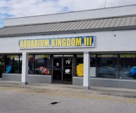 Aquarium Kingdom III | Saltwater & Freshwater Fish, Corals & Aquarium Supplies in Oakland Park