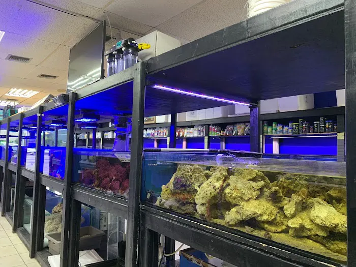 Aquarium Kingdom III | Saltwater & Freshwater Fish, Corals & Aquarium Supplies in Oakland Park Picture 4