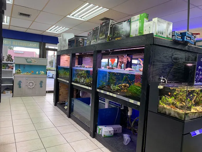 Aquarium Kingdom III | Saltwater & Freshwater Fish, Corals & Aquarium Supplies in Oakland Park Picture 5