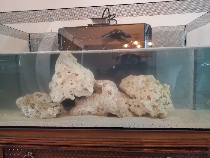Aquarium Kingdom III | Saltwater & Freshwater Fish, Corals & Aquarium Supplies in Oakland Park Picture 6