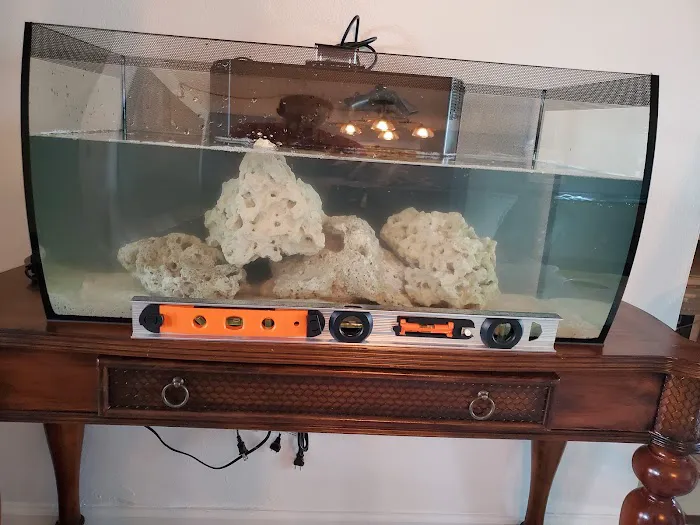 Aquarium Kingdom III | Saltwater & Freshwater Fish, Corals & Aquarium Supplies in Oakland Park Picture 7