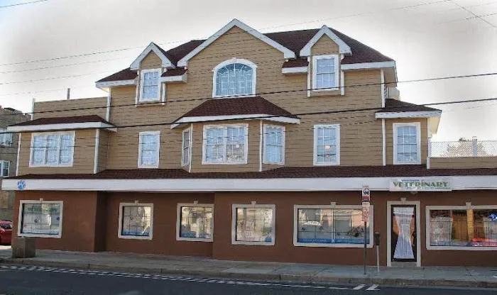 Ventnor Veterinary Office Picture 1