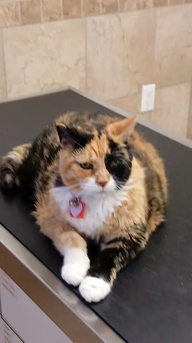Ventnor Veterinary Office Picture 7