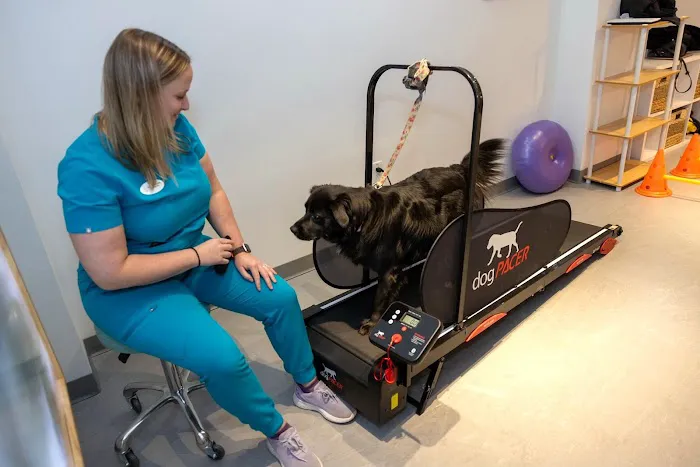 Sage Canine Rehabilitation Center Picture 1
