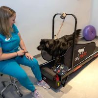 Sage Canine Rehabilitation Center ico