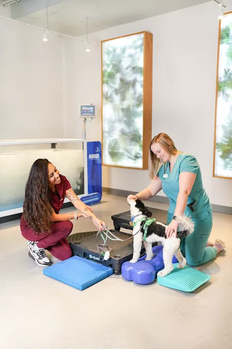 Sage Canine Rehabilitation Center Picture 6