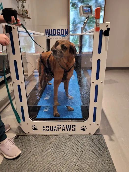 Sage Canine Rehabilitation Center Picture 4