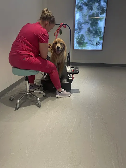 Sage Canine Rehabilitation Center Picture 9