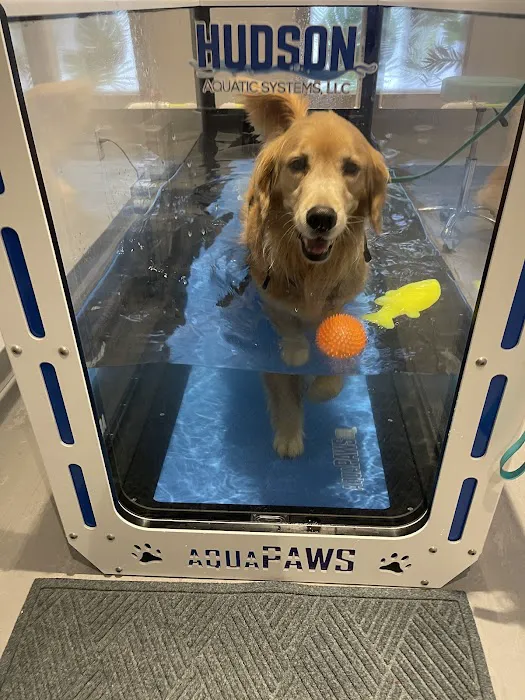 Sage Canine Rehabilitation Center Picture 10