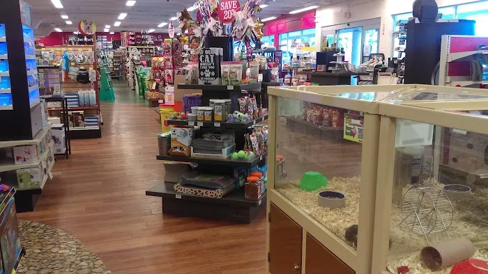 Pet Supermarket Picture 3