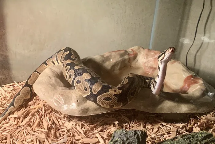 Pet Supermarket Picture 4