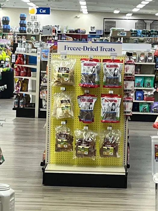 Pet Supermarket Picture 6
