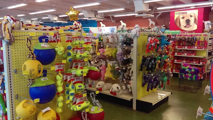 Pet Supermarket Picture 10