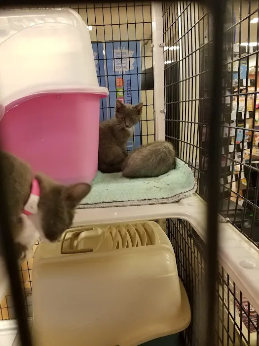 Pet Supermarket Picture 7