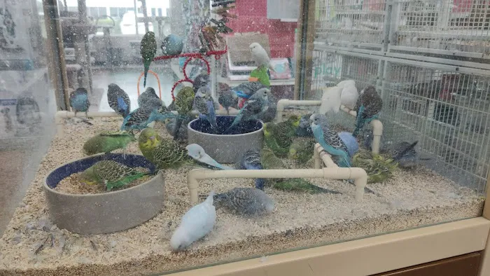 Pet Supermarket Picture 9