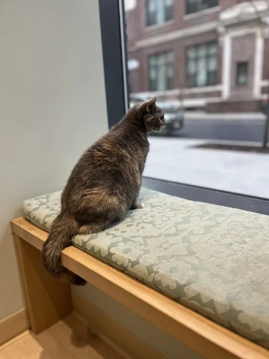 Sage Veterinary Center Picture 2